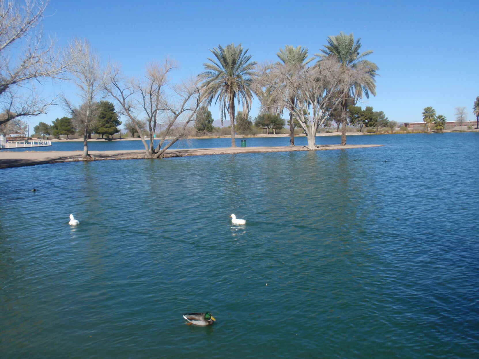 Travels with Two Sisters: Visiting watery desert oases
